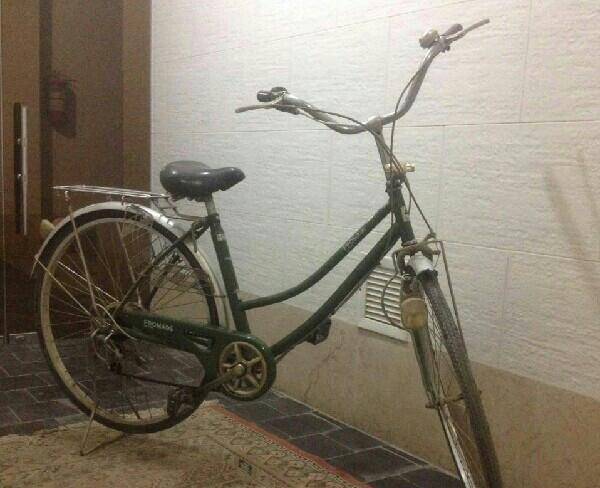 دوچرخه پاکشتی ژاپنی