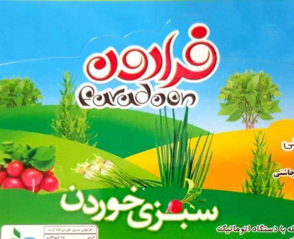 سالاد و سبزی آماده کارخانه ایران چاشنی،سلامت