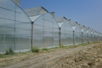 تولیدکننده برتر نایلونهای گلخانه ای تا عرض 14 متر در خاورمیانه