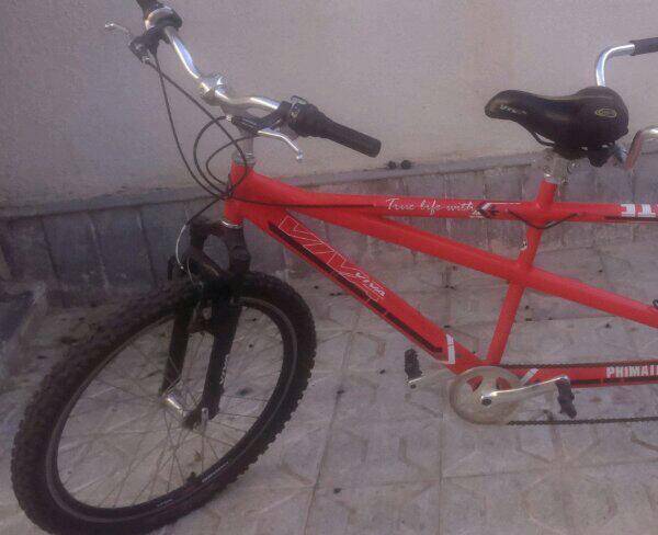 دوچرخه viva