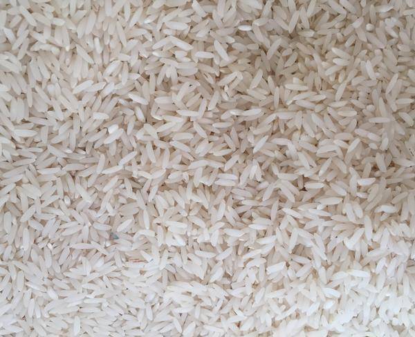 پخش و فروش برنج ممتاز شمال