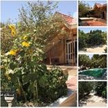 فروش 3000 متر باغ در شهریار کد : MJ 1401