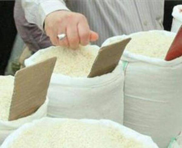 فروش انواع برنج با قیمتی عالی