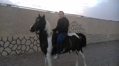 پانسیون اسب در اصفهان