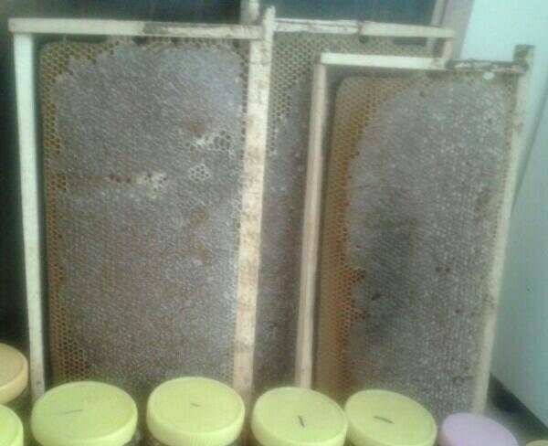 فروش عسل طبیعی چهل گیاه