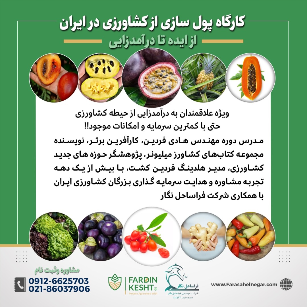 کارگاه آموزشی پولسازی از کشاورزی در ایران