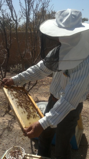 فروش عمده و جزئی عسل طبیعی