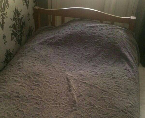 تخت یک نفره چوبی سالم
