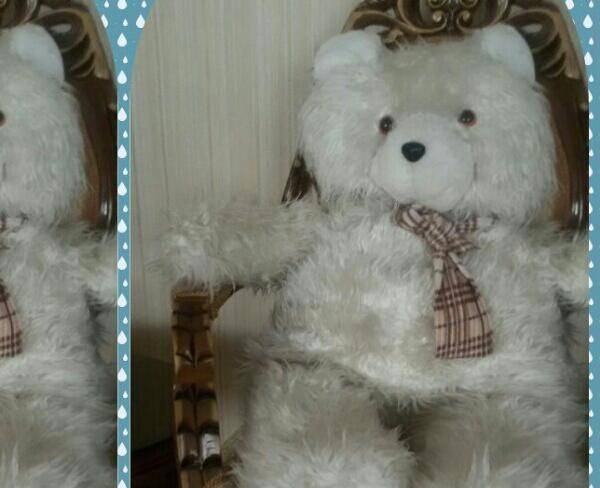 عروسک خرس بزرگ شاسخین