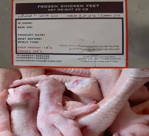chicken feet for exportپای مرغ صادراتی