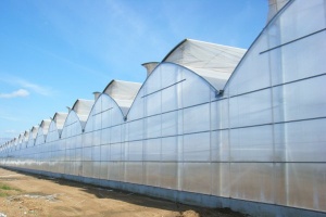 پوشش گلخانه ای سه لایه با عرض 14 متر