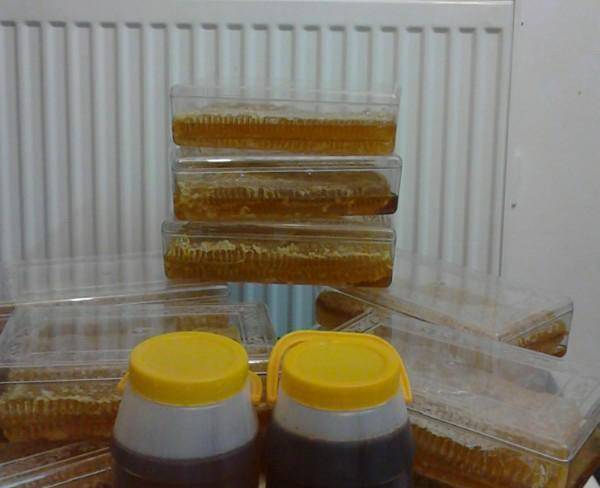 عسل آذربایجان به قیمت عمده فروشی