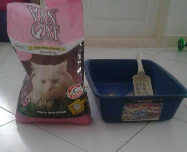 خاک و تعدادی غذای گربه