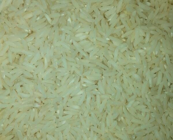 برنج طارم عطری فریدونکنار