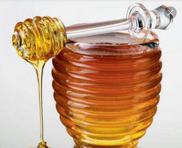 عسل طبیعی (دارویی) اشترانکوه صد درصد تضمینی