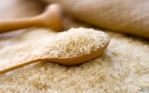 فروش برنج درجه یک گیلان به صورت کلی و جزئی