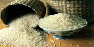 فروش مستقیم برنج مرغوب هاشمی درجه 1