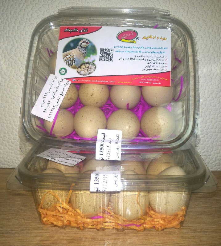 فروش تخم خوراکی ونطفه دار کبک