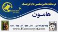 کلینیک  دامپزشکی هامون مجهزترین در غرب استان البرز