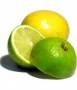 تولیدوفروش وصادرات کنسانتره لیمو
