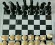 شطرنج جهت سرگرمی