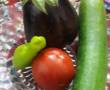 فروش میوه و سبزیجات در ارومیه