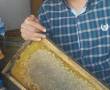 عسل طبیعی از کوه های میشو