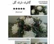 گلدان رز کریستال-بوشهر