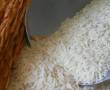 برنج فروشی باران انواع برنجهای اعلای شمال