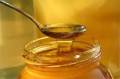 فروش عسل اصل و طبیعی