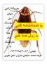 سمپاشی حشرات و موش موریانه زدایی تضمینی خوزستان