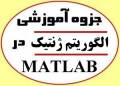 جزوه آموزش الگوریتم ژنتیک (GA) در متلب Matlab