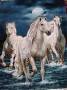 تابلو فرش دستباف اسب سفید ********_194115