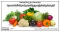تولید و فروش سبزیجات آماده مصرف