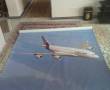 پرده زبرا زمینه ابی اسمانی با عکس هواپیما