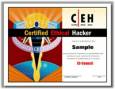 آموزش CEH v6.0 به همراه نرم افزار های هک و ضد هک