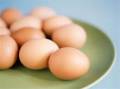 فروش تخم نطفه دار نژادهای مینیاتوری و ابریشمی