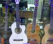 فروش انواع گیتار وآلات موسیقی