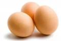 فروش تخم مرغ خوراکی بومی (رسمی)