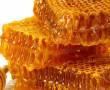 فروش عمده و خرد عسل طبیعی