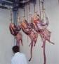 گوشت شترمرغ - عرضه مستقیم گوشت شترمرغ با بسته بندی