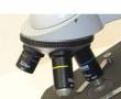 Microscope, میکروسکوپ زایس KF2