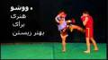 آموزش خصوصی ورزش رزمی ووشو در مشهد