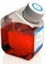 Foetal Bovine Serum (FBS) INVITROGEN-GIBCO IN IRAN سرم حیوانی کمپانی گیبکو-اینویتروژن (فروش فوق العاده در ایران)