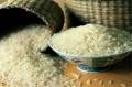 فروش مستقیم برنج تایلندی و اروگوئه