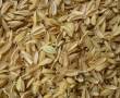 سبوس برنج مرغوب قیمت تولید