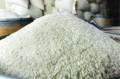تولید و فروش برنج هاشمی اعلاء طارم