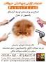 اصلاح مو و شستشوی حیوانات خانگی