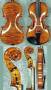 ویولنهای Stainer و Corilon و Stradivarius آلمان