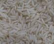 فروش برنج هاشمی در جه ۱